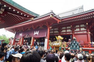 酉の市を浅草で楽しむ!注意点や見所をチェック!