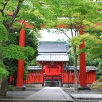 初詣に出かけよう!神社とお寺でどう違う?