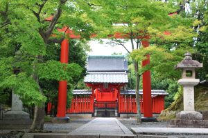 初詣に出かけよう!神社とお寺でどう違う?