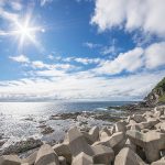 年末調整の保険料控除とは?どんな種類のものがあるの?