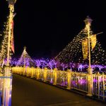 東京のクリスマスイルミネーションに参加しよう！