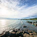 【大掃除をする人必見！】意外と知らない換気扇の掃除方法と外し方