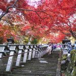 紅葉前線の解説と【今からでもまだ間に合う!】関東紅葉名所一覧!
