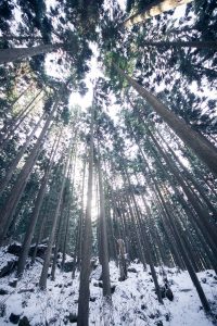 インフルエンザ今年のワクチンが少ない!?