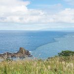 【大人も要注意！】おたふく風邪にかかったら一体どんな症状になるのか！？