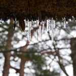 寒中見舞いいつからいつまでに出すの?【コレで完璧！例文付き完全版】