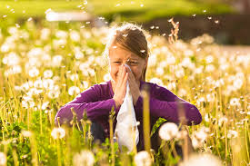 花粉症で鼻水がひどい!今すぐ鼻水を止めたい時の対策方法!花粉症と風邪の判断方法もご紹介