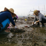 潮干狩り場(関東)で無料の場所はコチラ!※利用する前の注意点もあります!