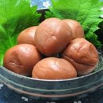 目的別梅干しの漬け方と塩分濃度の計算方法決定版!熱中症対策も減塩もこれでOK!