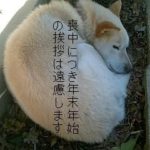 喪中はがきの範囲って…どこまで?誰も教えてくれない本当のところを大公開!