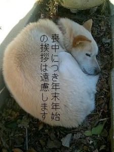 喪中はがきの範囲って…どこまで?誰も教えてくれない本当のところを大公開!