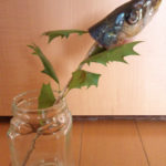 柊鰯の飾り方と処分方法まとめて紹介！今年は挑戦してみませんか？