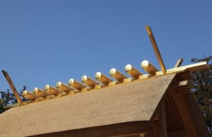 伊勢神宮の内宮外宮ってどっちなの?元神職が語る区別の仕方はこの2つ!
